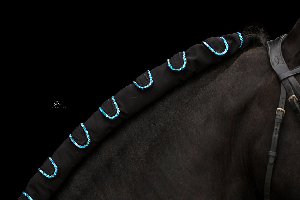 Horse braid protector