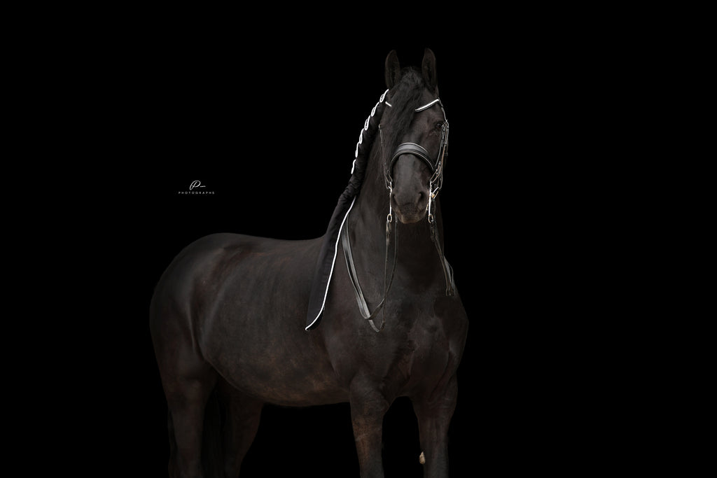 Horse braid protector
