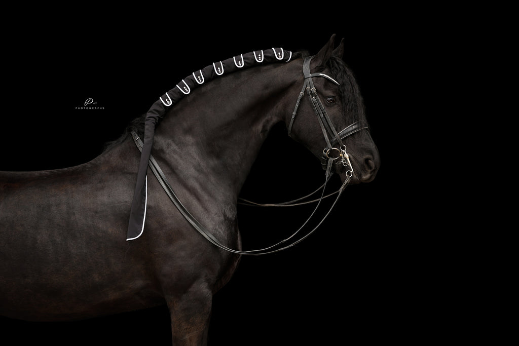 Horse braid protector