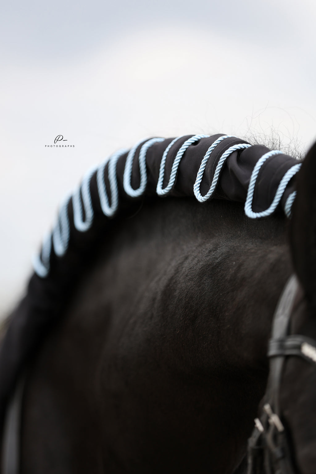 Horse braid protector