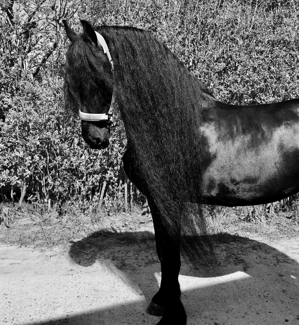 Growth & Shine Serum