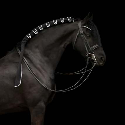 Horse braid protector